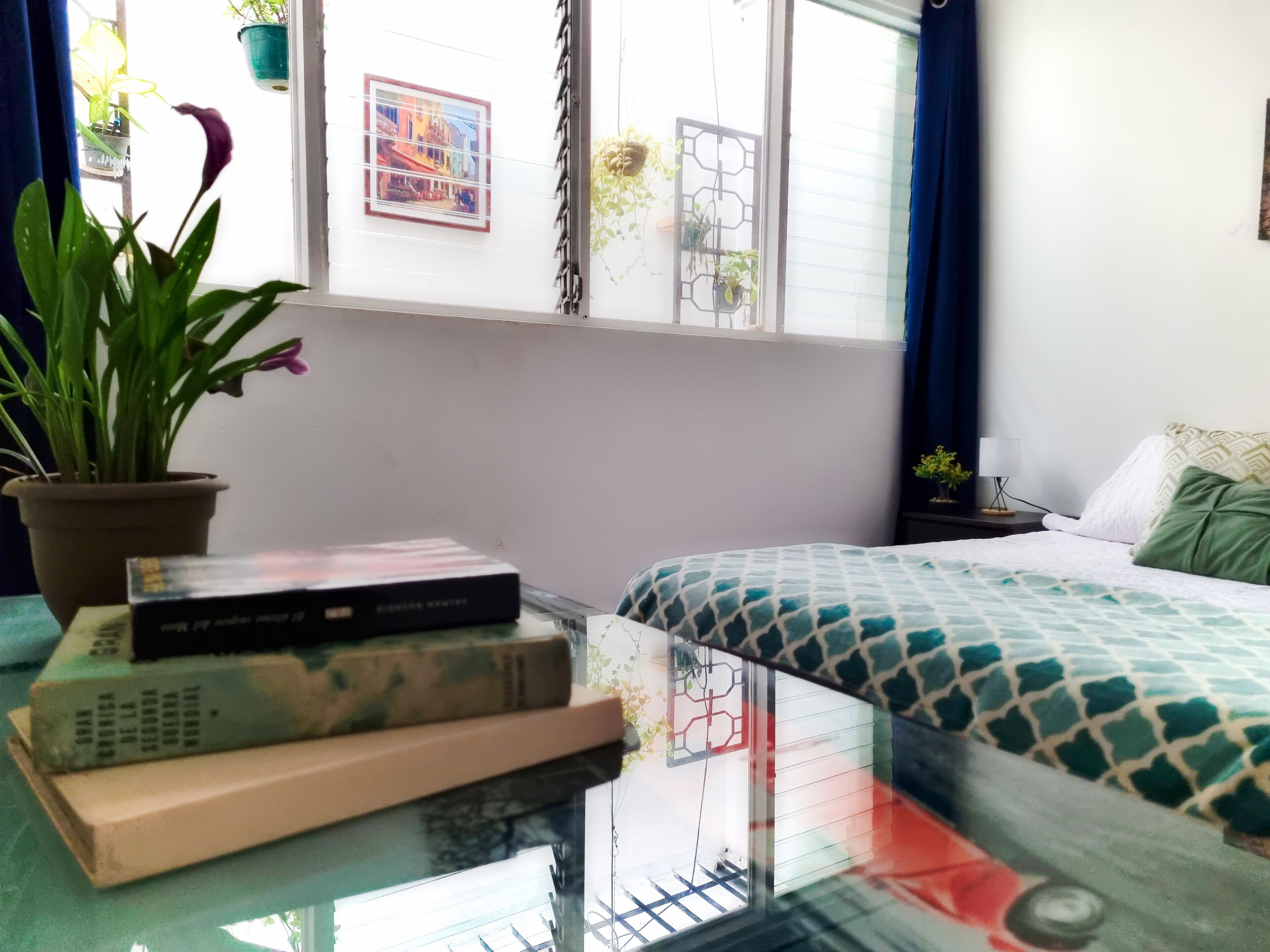 A room with a bed, a window with a view of buildings, a potted plant, and a framed picture on the wall.