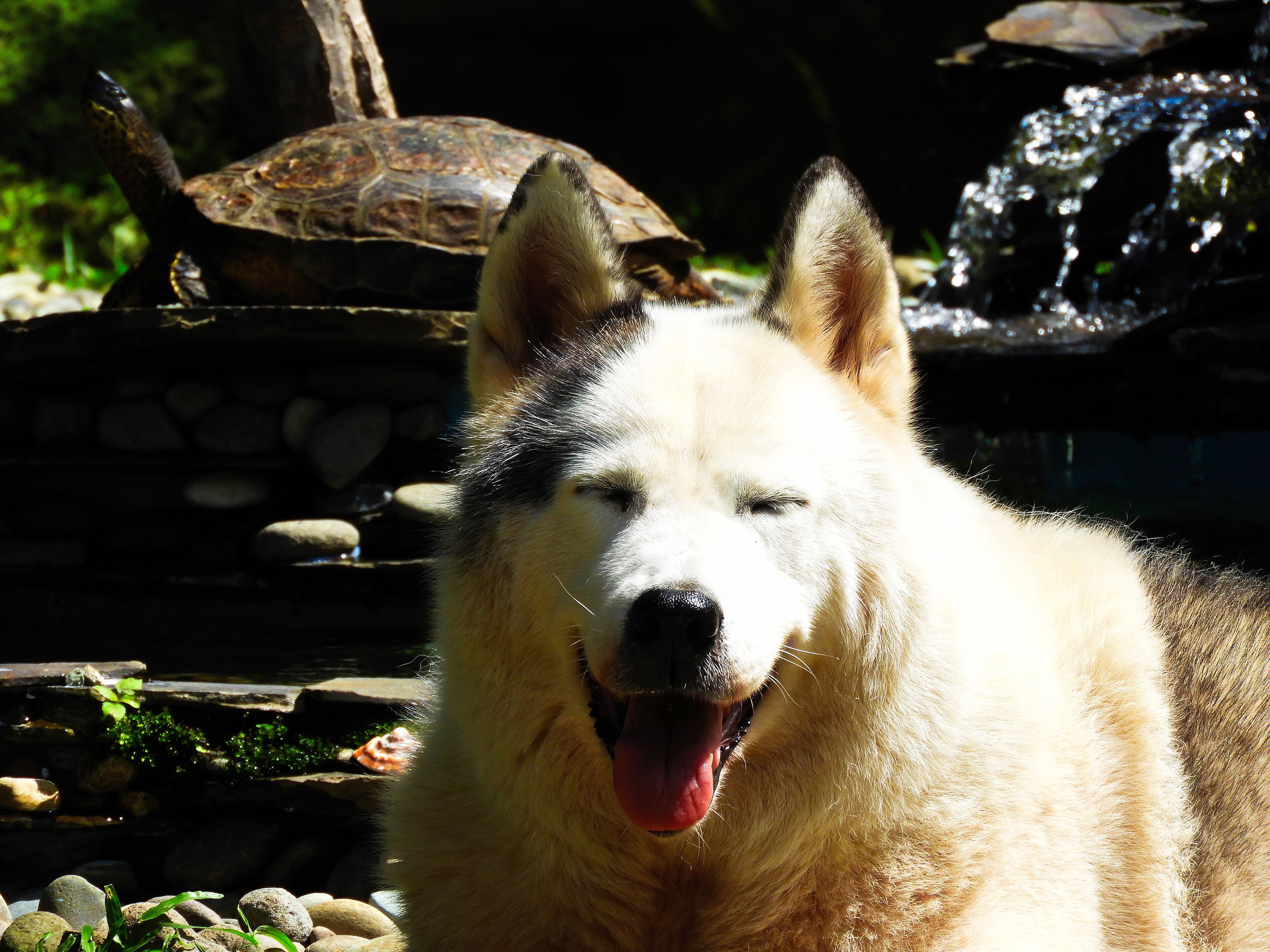 Photo - Casa Jardin del Mango