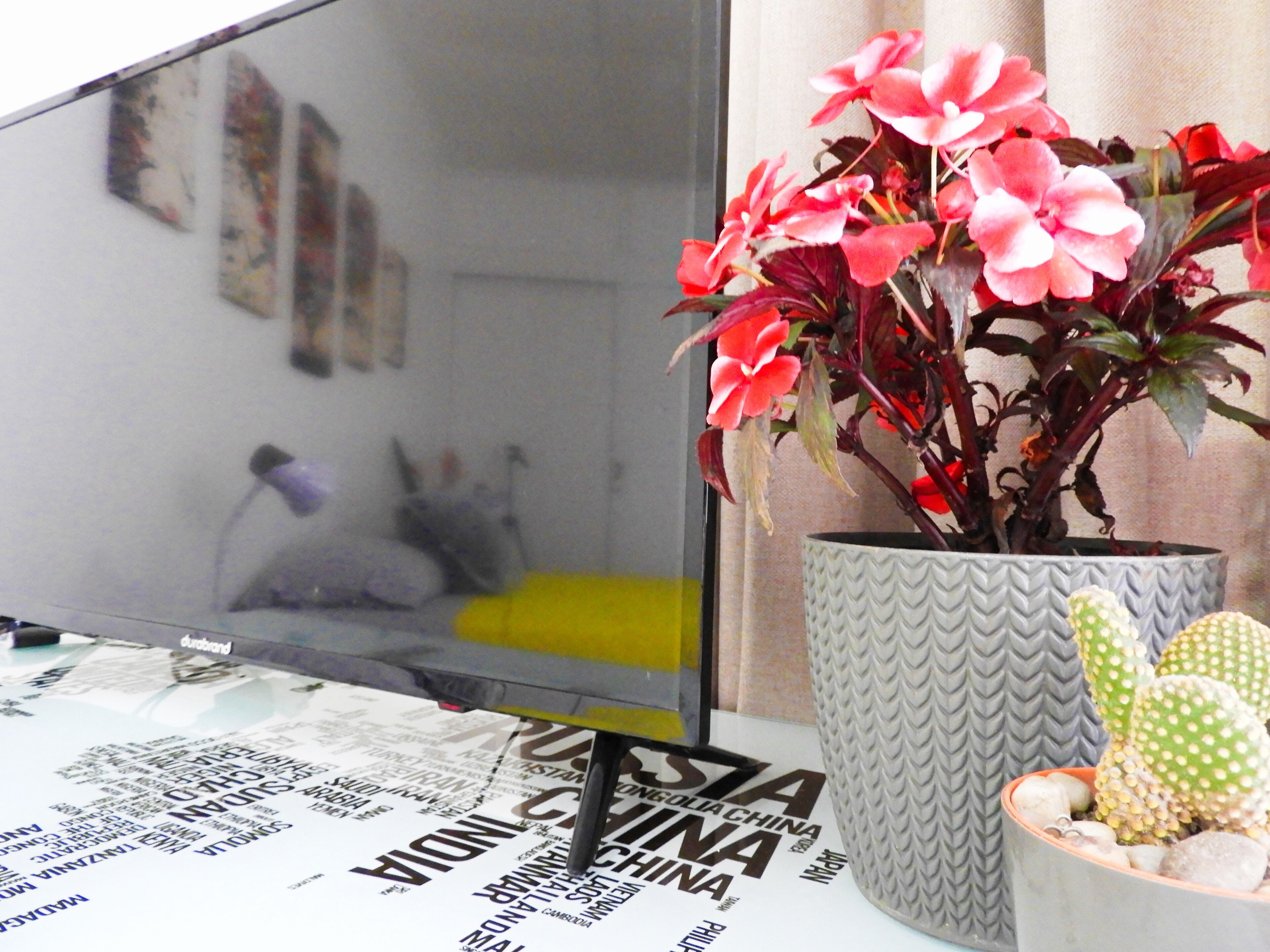 Photo - Casa Jardin del Mango