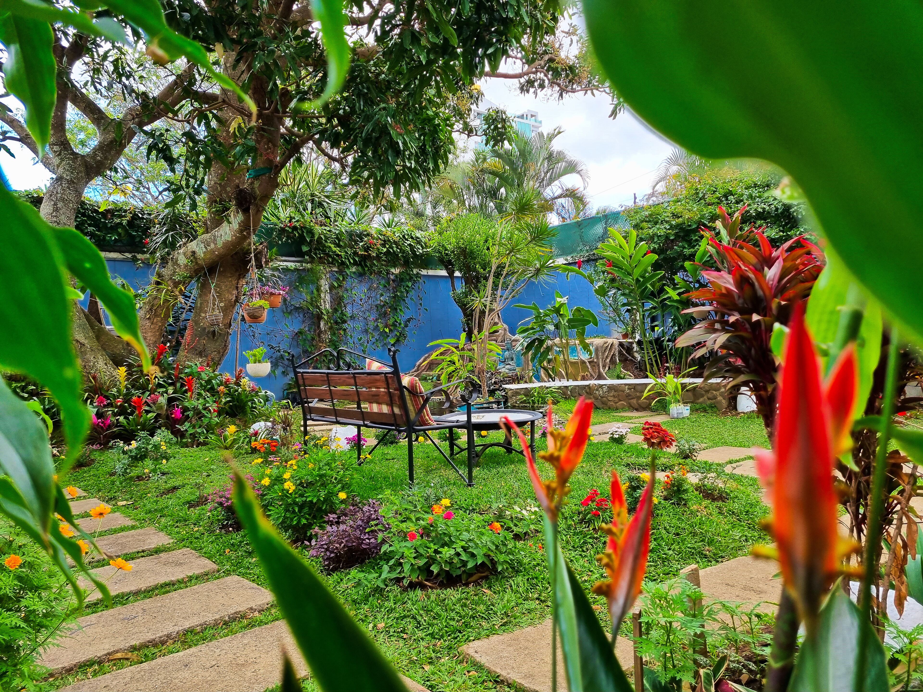 Photo - Casa Jardin del Mango