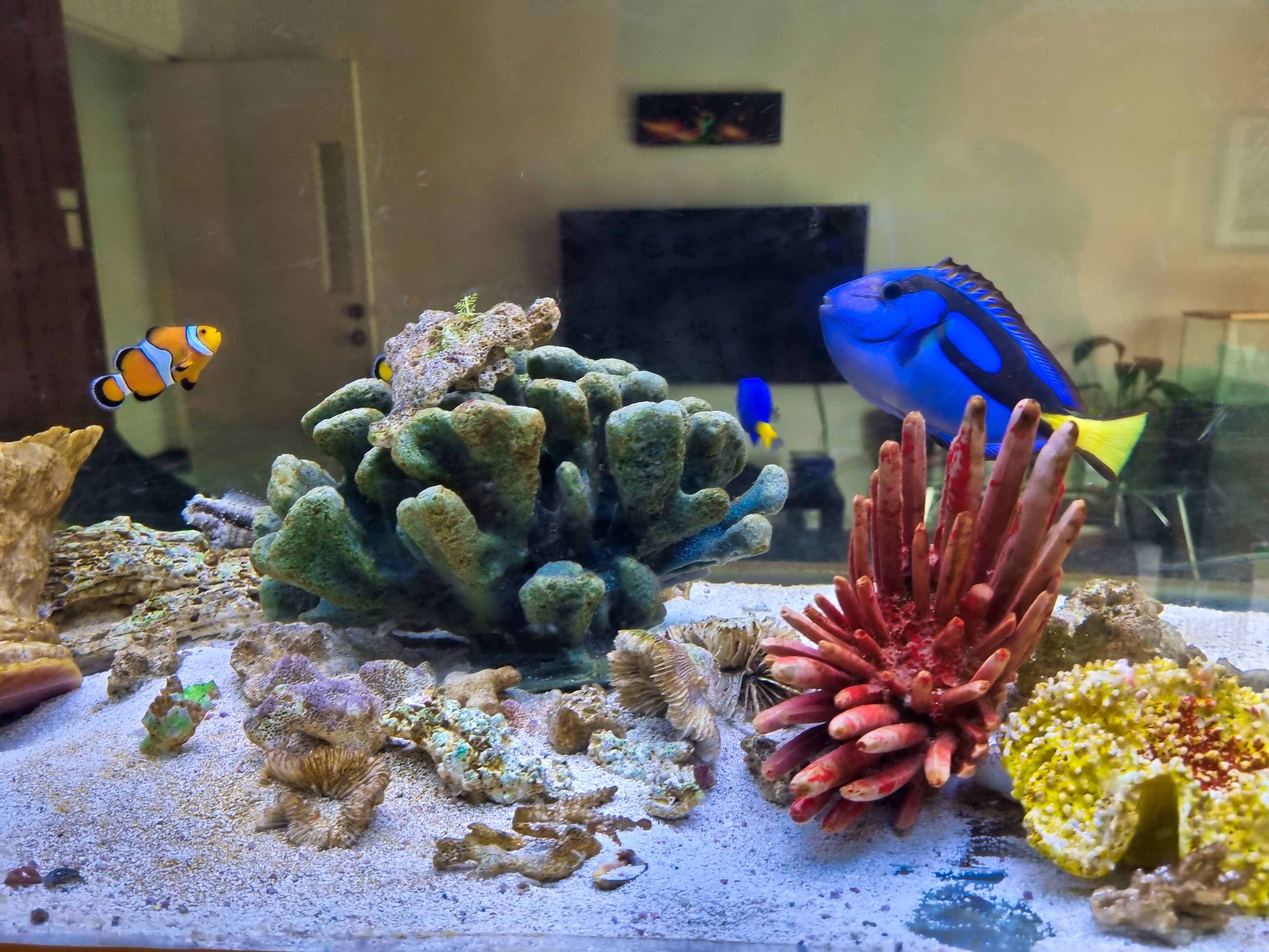 Photo - Casa Jardin del Mango