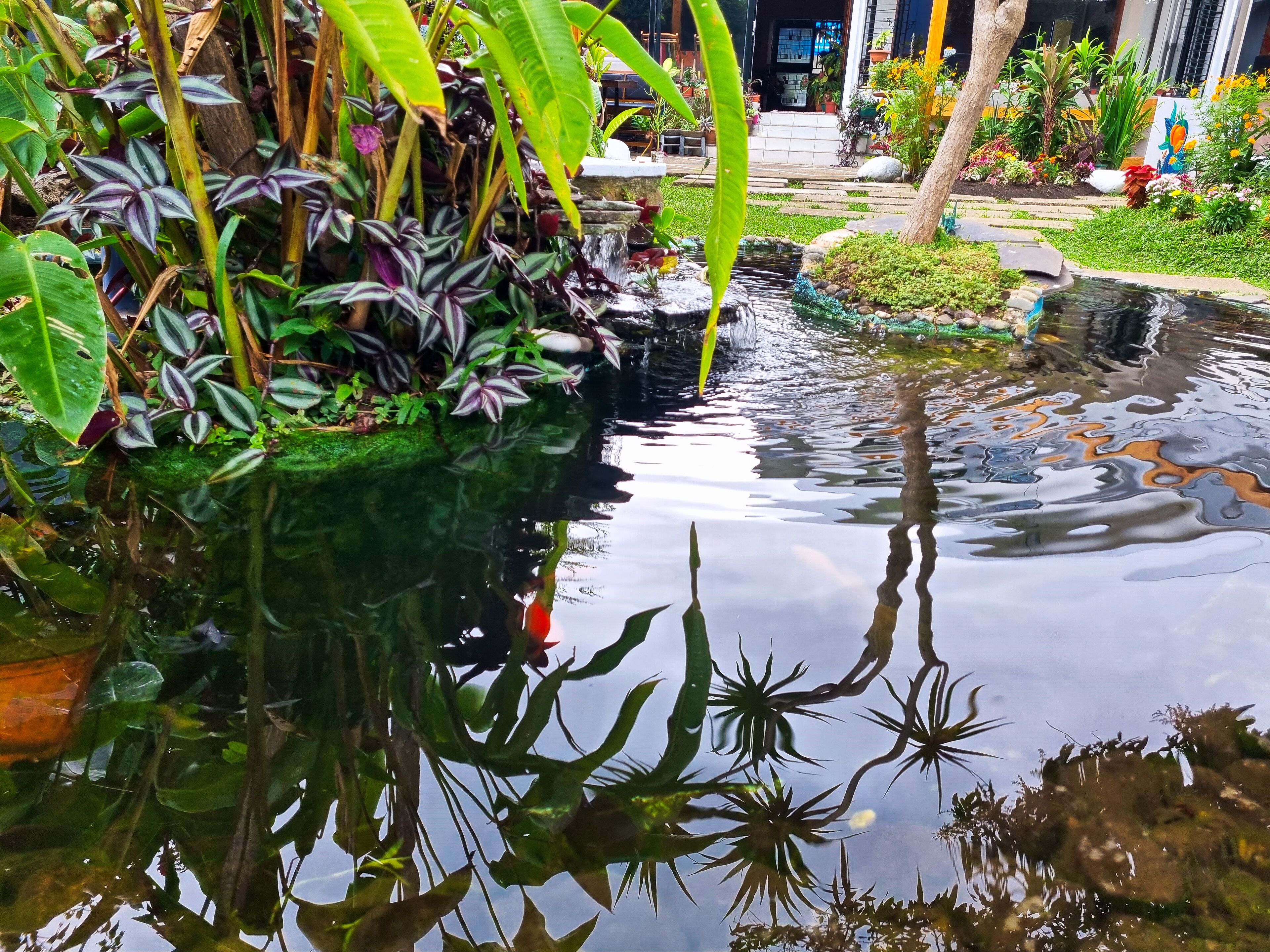 Photo - Casa Jardin del Mango