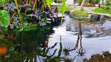 Un jardín tranquilo con un estanque, abundante vegetación y una pequeña cascada.