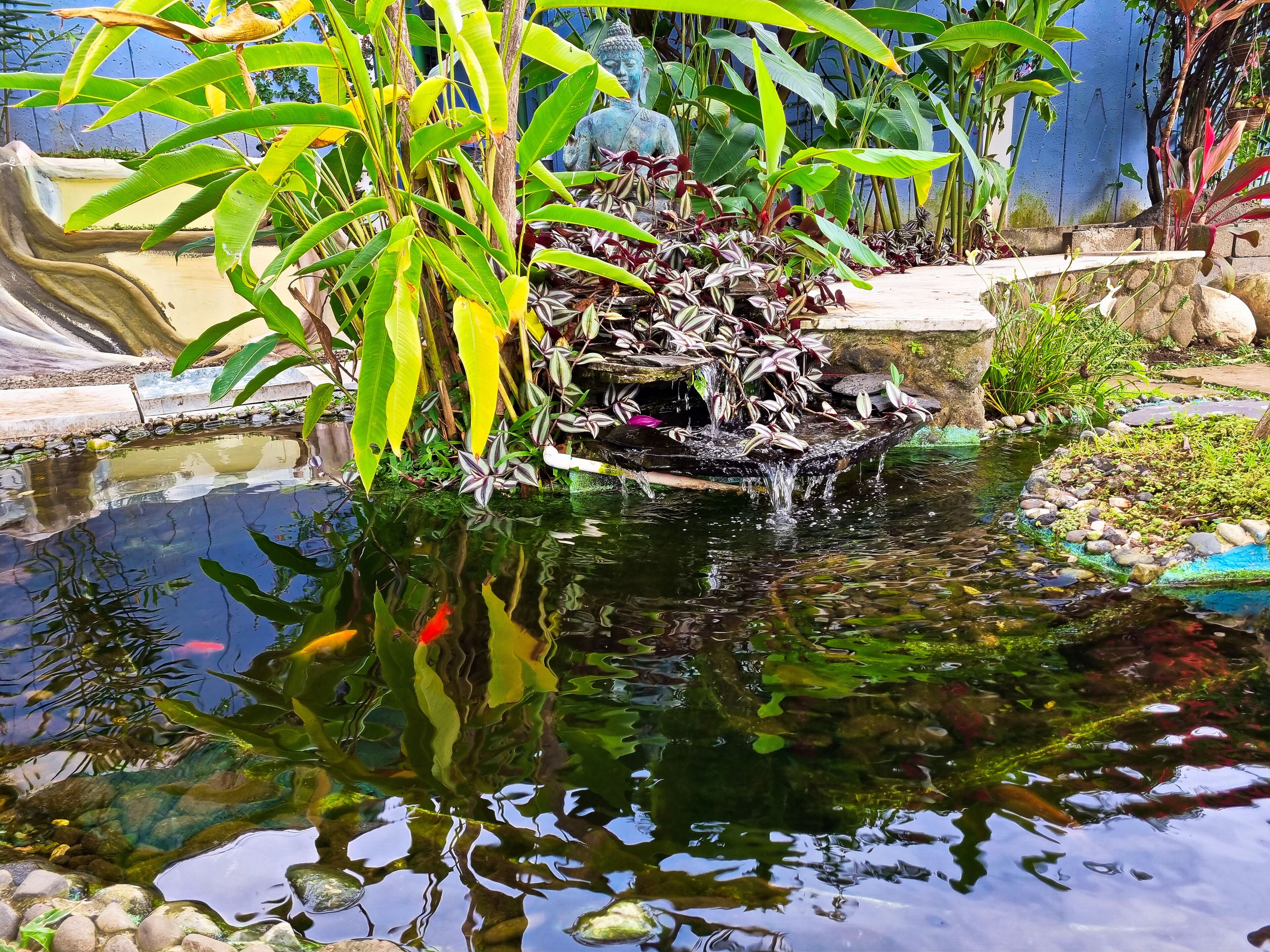 Photo - Casa Jardin del Mango