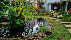 A garden with a pond, potted plants, and a statue. - Casa Jardin Del Mango (San José)