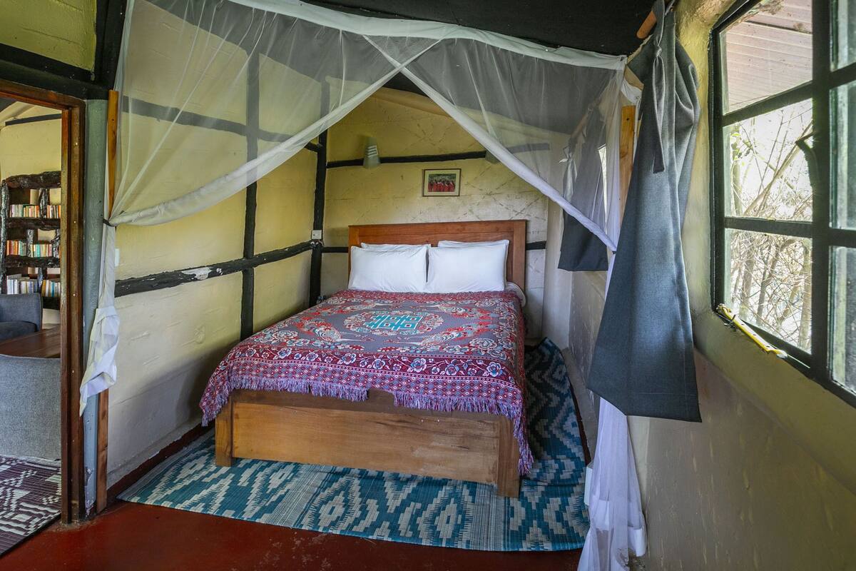 A room with a bed, a window, a bookshelf, and a mosquito net.