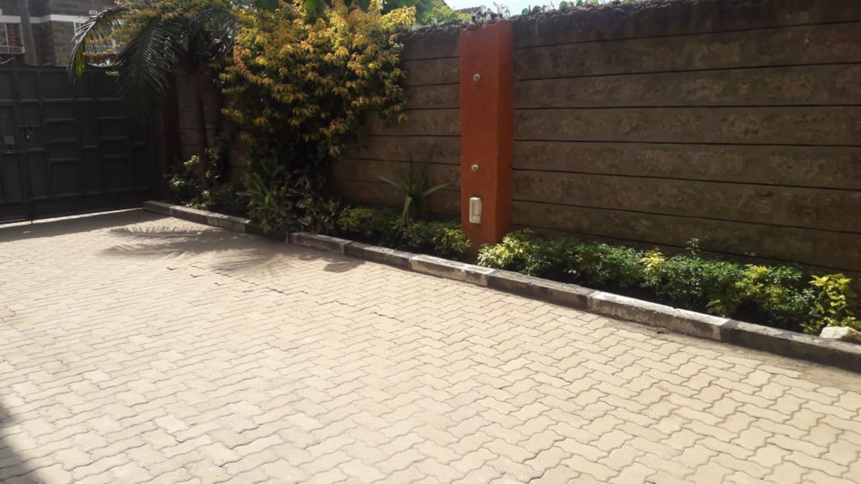 Foto - Marlin Guest Resort