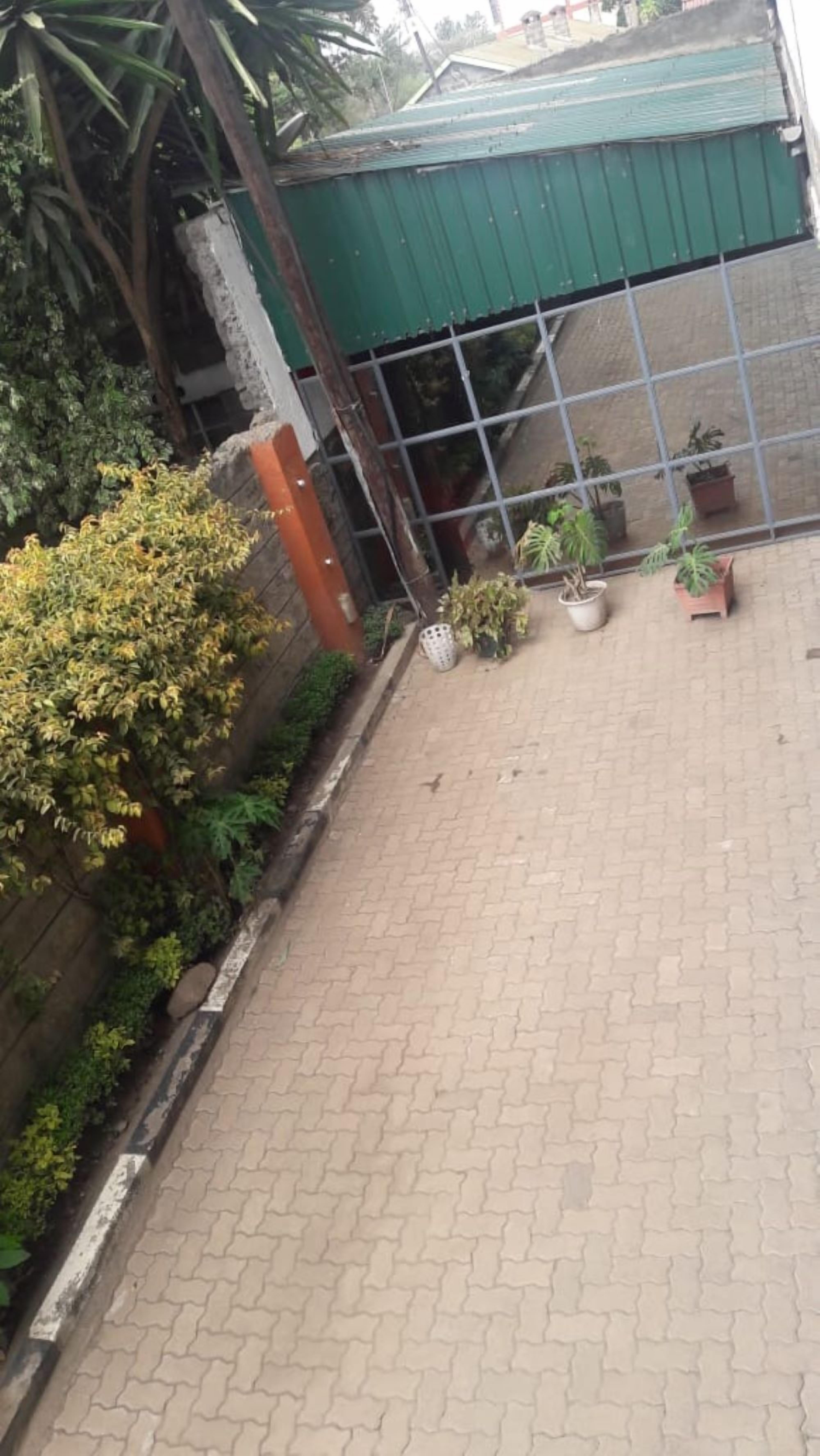 Foto - Marlin Guest Resort