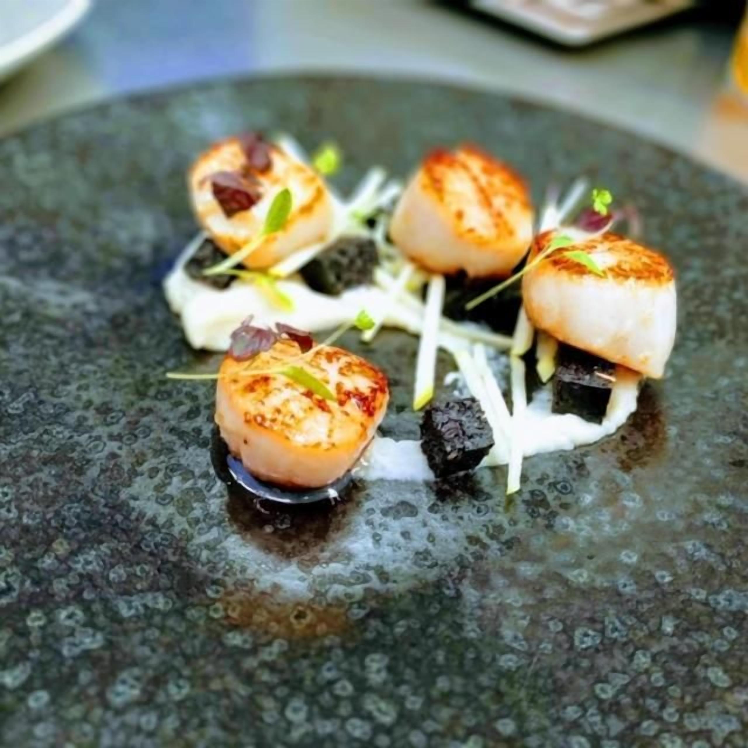 A plate with seared scallops, garnished with microgreens and a drizzle of sauce.