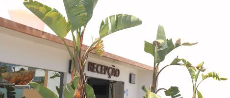 Entrada de un hotel con un letrero que dice "Lagos Atlantic Hotel" y un mostrador de recepción. Hay plantas grandes en macetas frente a la entrada.