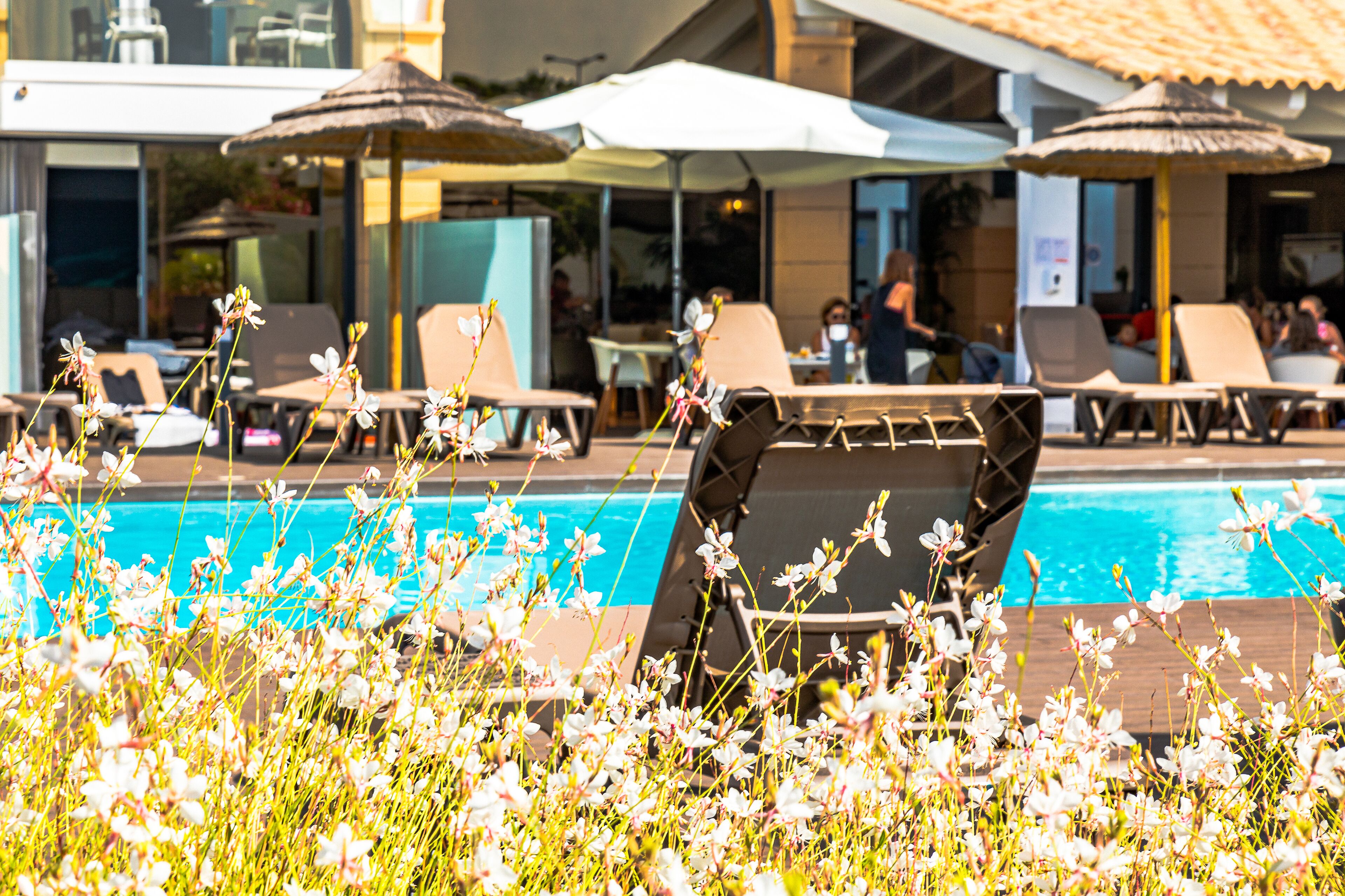 A poolside area with lounge chairs and umbrellas, surrounded by flowering plants.