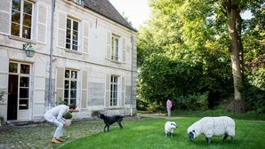 A building with a cobblestone entrance, a person in a suit, a black dog, and two sheep in a grassy area. - Chambres d'Hôtes de Parseval (Senlis)