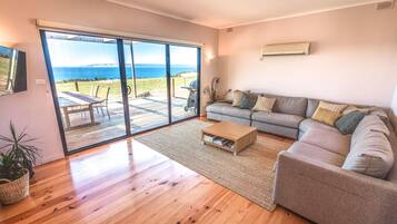 Smart TV, DVD player, books, video library