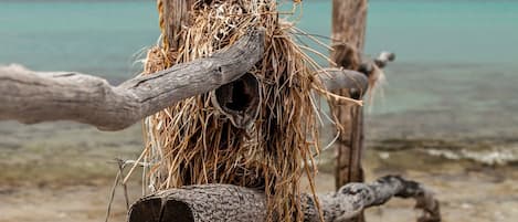 Una spiaggia nelle vicinanze