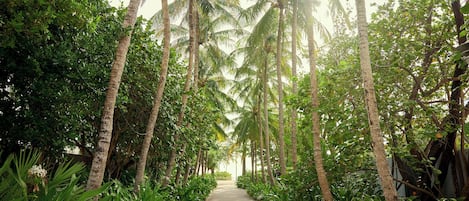 Beach nearby, sun loungers, beach towels