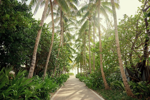 Beach nearby, sun-loungers, beach towels