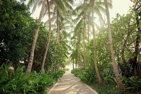 Beach nearby, sun loungers, beach towels. Hotel Greystone - Adults Only