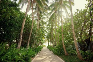 Pantai berhampiran, kerusi lepak pantai, tuala pantai 