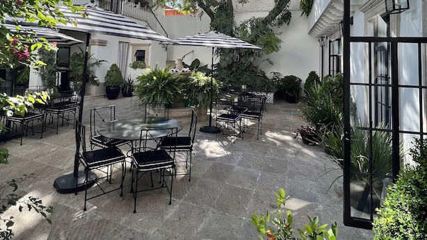 An outdoor patio area with tables and chairs, surrounded by potted plants and trees.