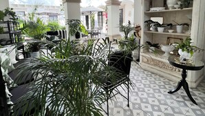 A spacious indoor area with a checkered floor, multiple seating arrangements, and various potted plants.