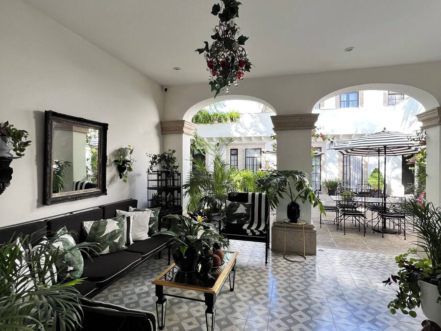 A spacious indoor area with a patterned floor, multiple seating arrangements, and various potted plants.