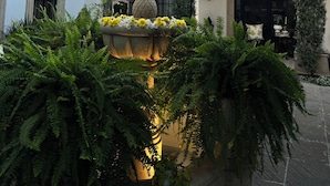 A courtyard with a fountain, potted plants, and a covered seating area.