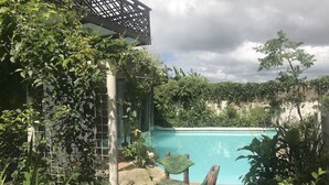 Uima-allas, jonka ympärillä on vehreää kasvillisuutta, ja sen yläpuolella oleva pergola.