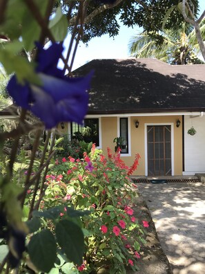 Détail de l’extérieur