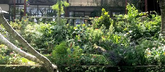 C Donata Bed & Breakfast-Familiesuite A