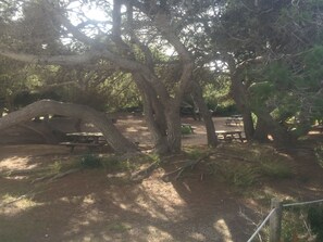 Opções para refeição ao ar livre