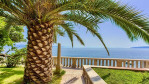 Una palmera, un barandal de piedra y vista al mar.