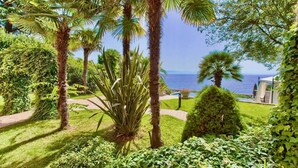Un exuberante jardín con palmeras y vistas al océano.