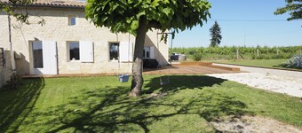 House in the middle of vineyards with enclosed garden, ideal families