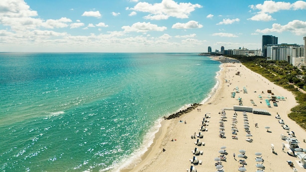 Uma praia com fileiras de espreguiçadeiras e guarda-sóis, céu azul límpido e um horizonte urbano ao fundo.