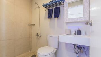 Shower, hair dryer, towels, soap