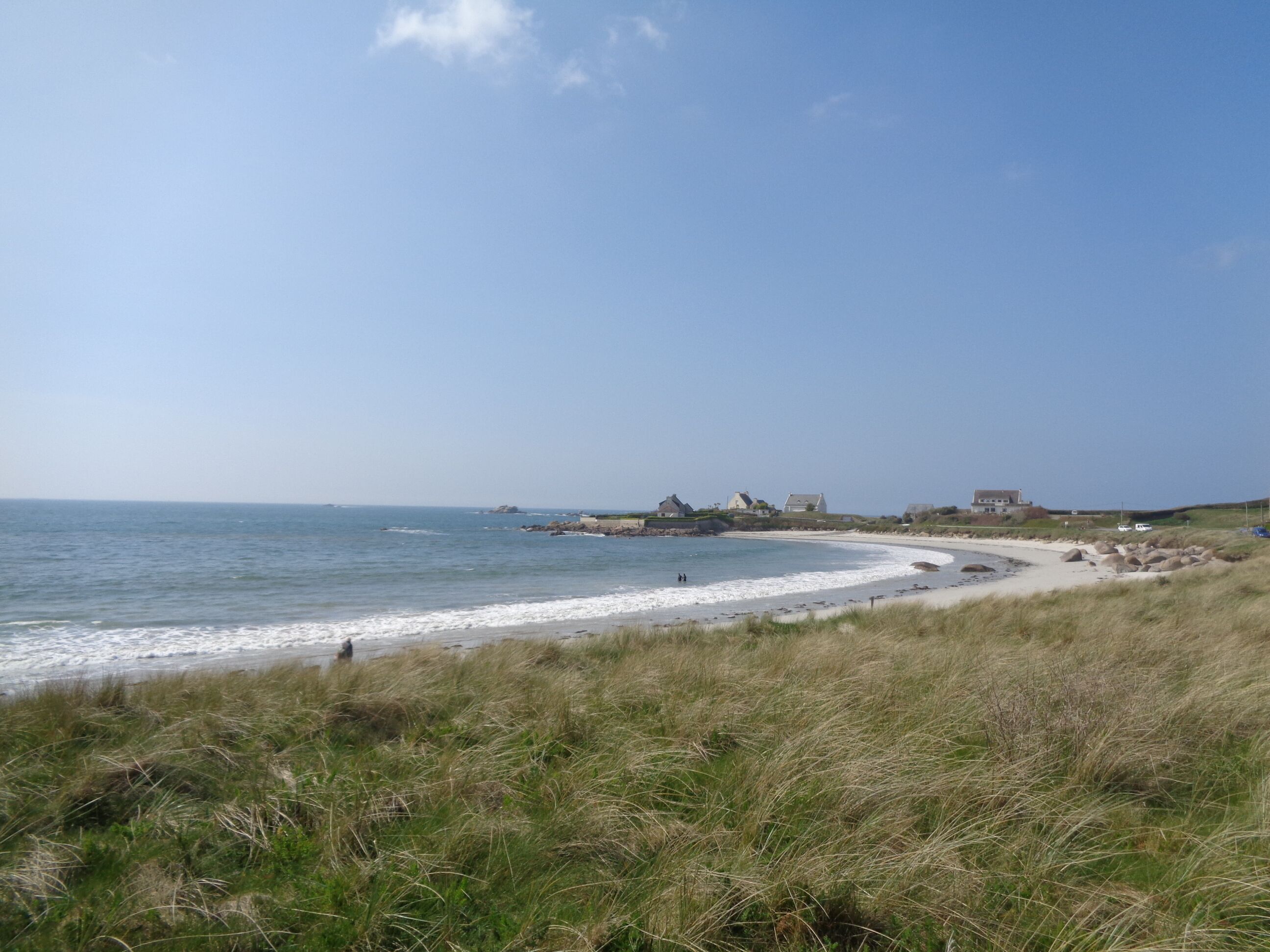 Un paysage côtier avec une plage de sable, des dunes herbeuses et un ciel bleu dégagé.