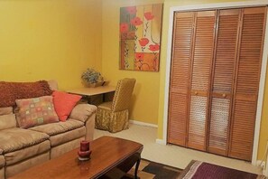 Smart TV, reproductor de DVD, libros y monitor de computadora 