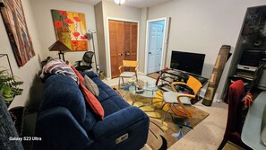 Smart TV, DVD player, books, computer monitors - Welcoming, Classy and Comfortable Home (Fairfax)