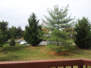 Property grounds - Welcoming, Classy and Comfortable Home (Fairfax)