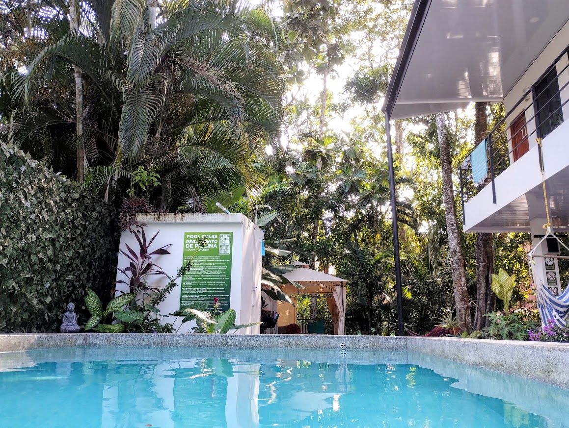 A swimming pool surrounded by lush tropical vegetation, a small gazebo, and a white building with a green sign.