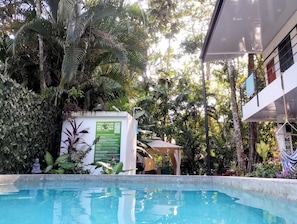 A swimming pool surrounded by lush tropical vegetation, a small gazebo, and a white building with a green sign. - Casa Jungla Hostel (Jacó)