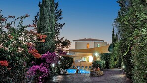Une villa moderne dotée d’une piscine, entourée d’une végétation luxuriante et de plantes en fleurs.