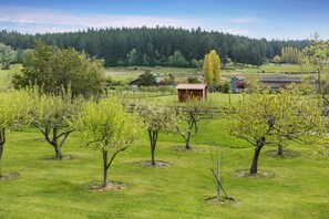 Eksteriør
