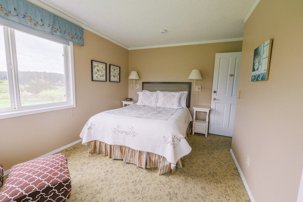 A bedroom with a large bed, two bedside tables, a bench, a window with a view, and a door.