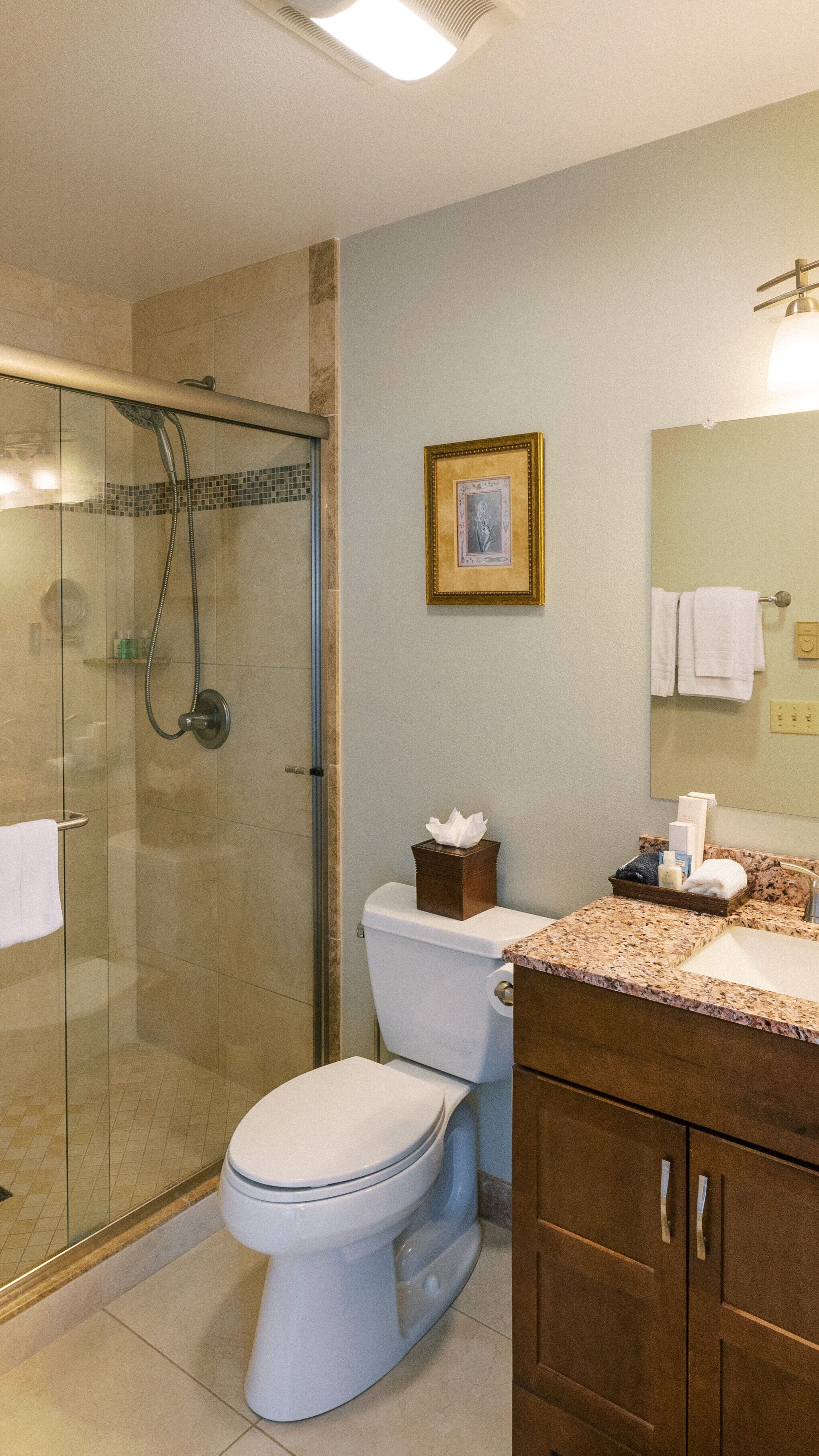 A bathroom with a glass-enclosed shower, a toilet, and a vanity with a mirror.