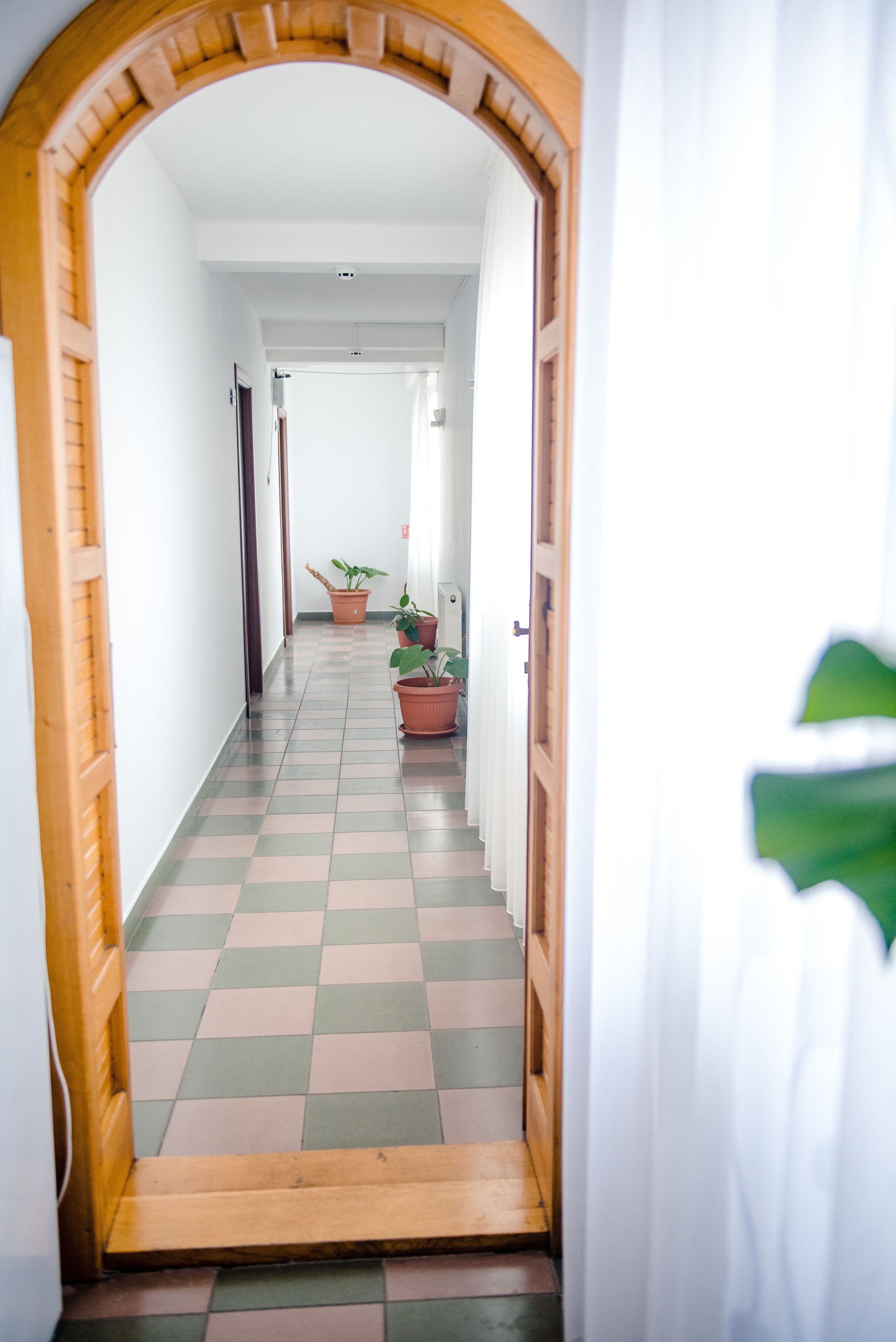 Un couloir doté d’un sol à carreaux, de plantes en pot et d’un cadre de porte en bois.