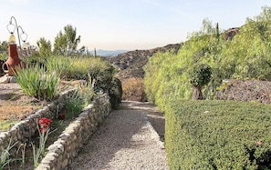 Garden - The Patrician Hollywood Universal (Pasadena)