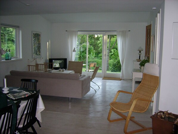 TV, fireplace, DVD player, books