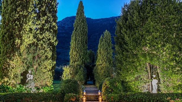 Un sentier menant à un point de vue sur la montagne, bordé de grands arbres et agrémenté d’un banc.
