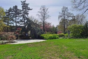 A well-maintained garden with a variety of trees and shrubs, a clear pathway, and a lawn. - Apartment in Bergheim near Picturesque Town (Bergheim)
